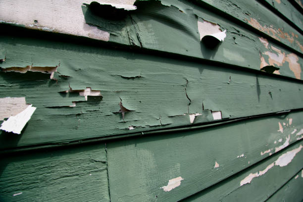 Best Siding for New Construction  in Port Allen, LA